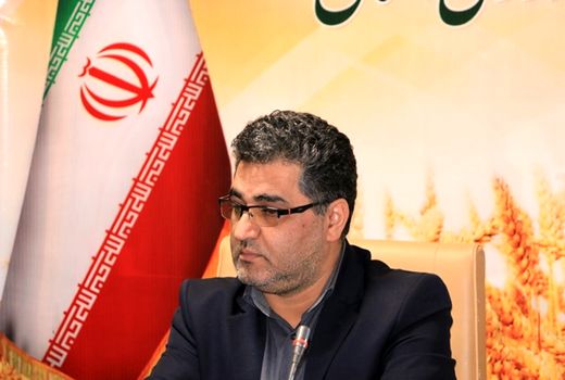 ۲۴۰۰ تن برنج تنظیم بازار در استان کردستان توزیع می شود