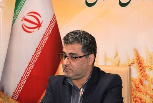 ۲۴۰۰ تن برنج تنظیم بازار در استان کردستان توزیع می شود