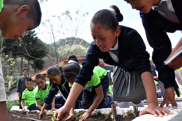 نقش مدارس مکزیک در فرهنگ‌سازی مصرف خوراکی‌های سالم 