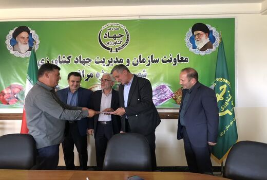 تقدیر رئیس سازمان جهاد کشاورزی آذربایجان شرقی از خبرنگار نمونه بخش کشاورزی خبرگزاری صداوسیما