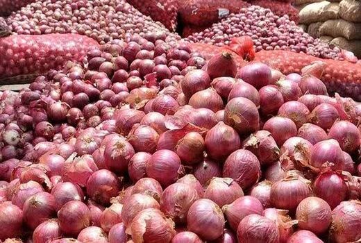 آغاز برداشت پیاز از مزارع آذربایجان‌غربی