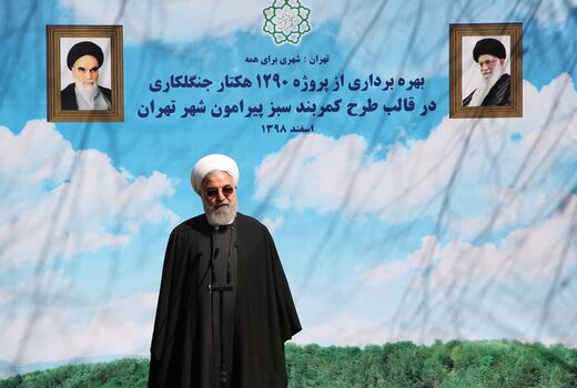 زراعت چوب در دولت تدبیر و امید 2 برابر افزایش داشته است