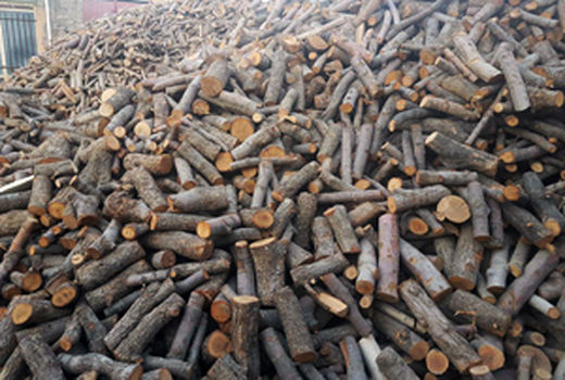 قاچاق چوب و زغال با خودروهای یخچال‌دار حمل مواد غذایی