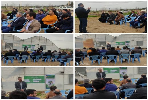 ترویج کشت های گلخانه ای در گتوند خوزستان