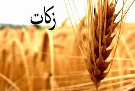 کشاورزان خراسان شمالی بیش از ۱۴ میلیارد تومان زکات پرداخت کردند