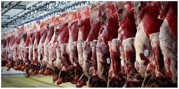 پاکستان گزینه اول واردات گوشت قرمز شد / پیشنهاد ترکیب وارداتی برای کاهش ریسک و هزینهها