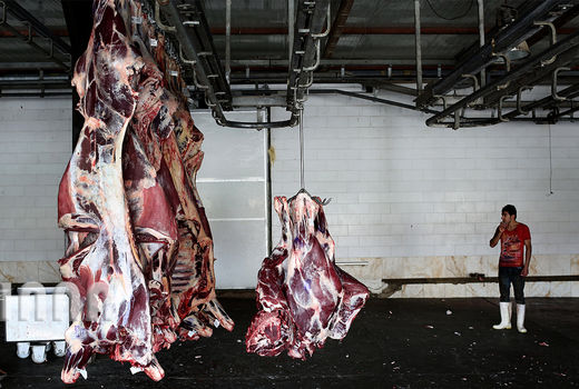 عرضه گوشت گوسفند خوب نیست 