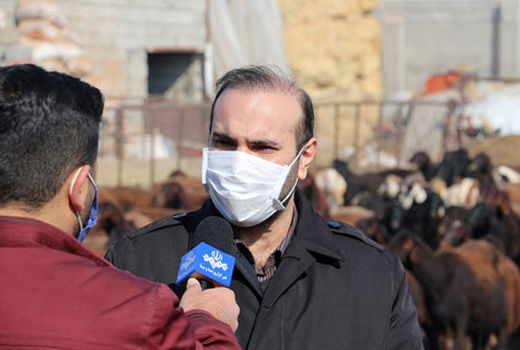 خدمات رایگان دامپزشکی استان آذربایجان شرقی به دامداران به مناسبت ایام دهه مبارک فجر