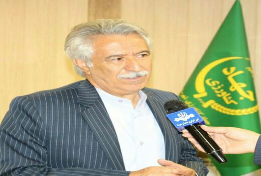 کاشت بیش از 6 هزارو 200 هکتار ذرت دانه ای در شهرستان کرمانشاه