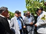خداآفرین، قطب کشاورزی و شیلات شمال‌غرب کشور