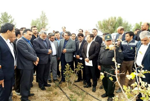 بازدید از مزرعه الگویی خارشتر در قاینات