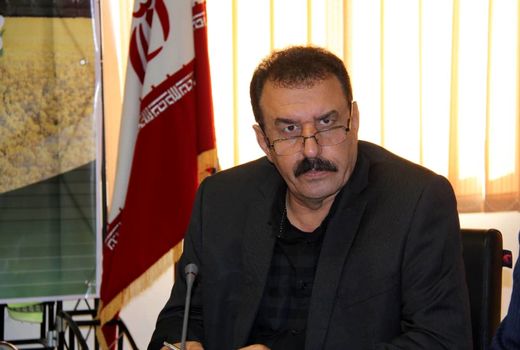 تولید 100 تن بذر کلزا مازاد بر نیاز استان