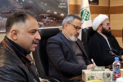 عشایر آذربایجان شرقی در سال 8 هزار تن گوشت قرمز تولید می‌کنند