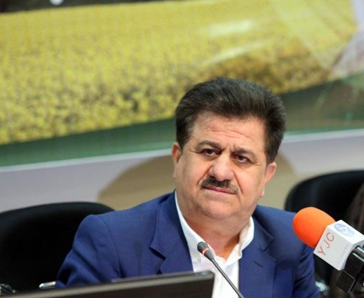 باز هم عطر خوش شالیزارهای خوزستان