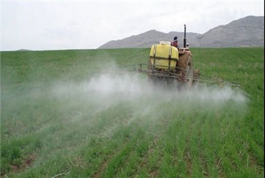 مبارزه 772هکتاری جهاد کشاورزی شمیرانات علیه آفات عمومی