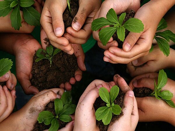 روز جهانی خاک فرصتی برای معرفی نقش و جایگاه خاک  به جامعه است
