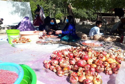 تهیه رب انار _ دورک اناری چهارمحال و بختیاری