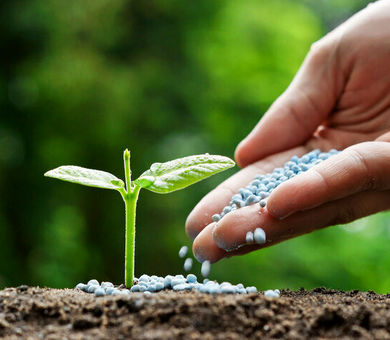 توزیع 8 هزار تن کود کشاورزی در دشتستان