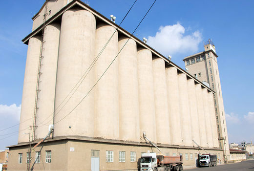 خرید گندم در آذربایجان شرقی از مرز ۱۰۰ هزار تن گذشت