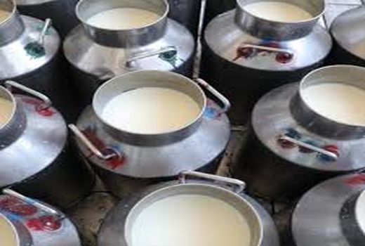 متوسط تولید سالانه بیش از 14 هزار تن شیر