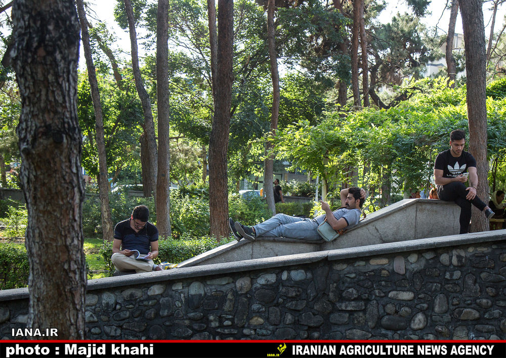 استراحت در فضای سبز شهری