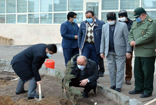 سهم 430 هکتاری آذربایجان شرقی از جنگل‌کاری اقتصادی در کشور