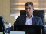 برداشت بیش از 90 درصد مرکبات از باغ‌های گیلان 