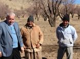 بازدید رئیس سازمان جهادکشاورزی از طرح ایجاد سامانه آبگیر در بادامستان‌های دیم کوهسرخ