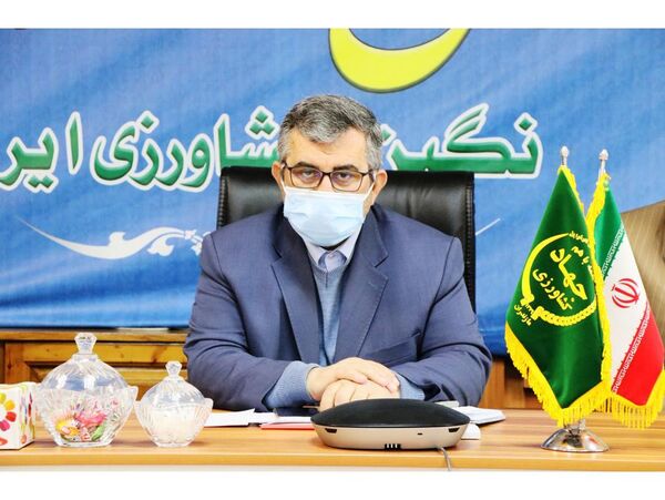 21 هزارتن مرکبات به 26 استان کشور ارسال شد