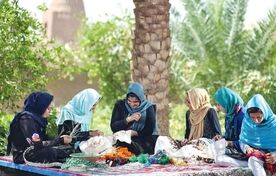 پیشنهاد تشکیل «شورای راهبردی کسب‌وکارهای خرد زنان روستایی» به استانداری‌ها