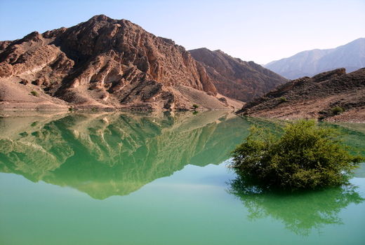 نقش تقویت پوشش گیاهی در کاهش  سیل‌خیزی حوزه های آبخیز 