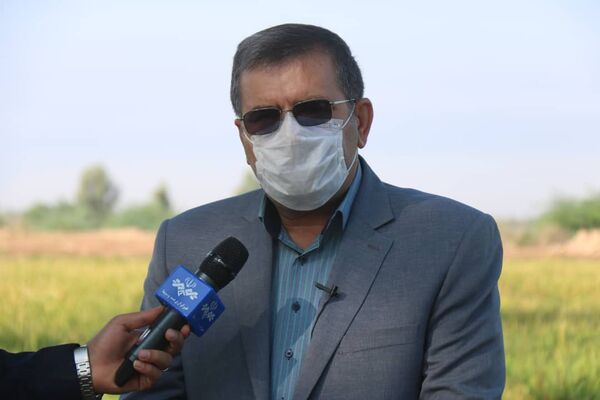 پرداخت خسارات بخش کشاورزی توسط دولت، فقط و فقط در ازاء بیمه