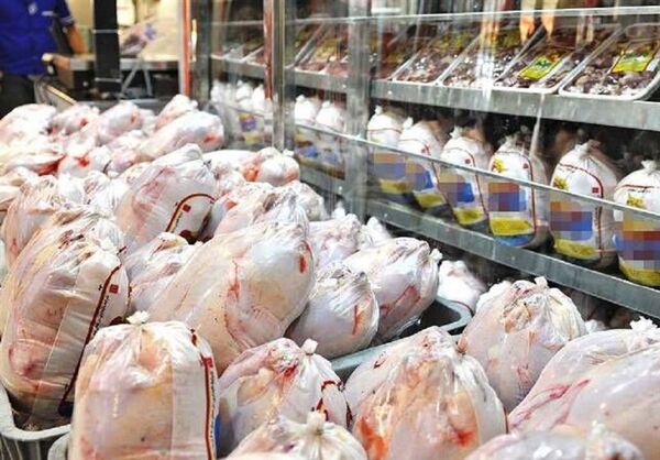 توزیع 452 تن مرغ گرم در قزوین در 4 روز