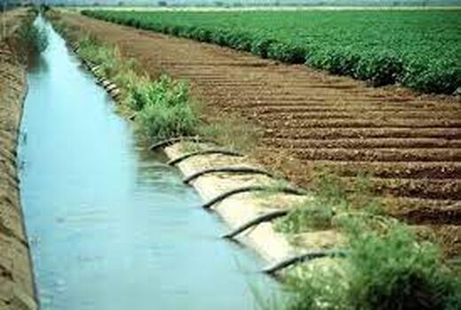 بهره وری از شبکه های آبیاری در خرمشهر