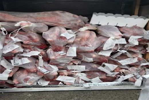 گوشت گرم گوسفندی از استرالیا وارد کشور شد