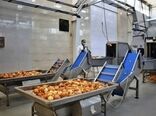 شتاب توسعه صنایع تبدیلی و غذایی در چهارمحال و بختیاری/ گامی مؤثر در کاهش ضایعات و تکمیل زنجیره ارزش کشاورزی