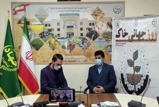 کشاورزی قراردادی می تواند بهره وری در تولید را افزایش دهد 