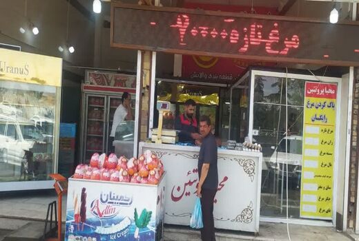 توزیع و عرضه ۲۶۰ تن مرغ کشتار روز در سطح بازار آذربایجان غربی 