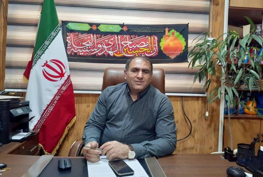 کشاورزان دهلرانی از طرح زراعت چوب کسب درآمد کردند