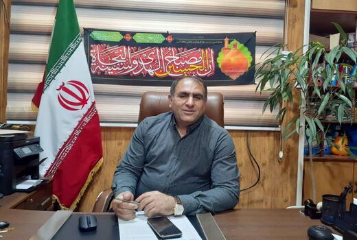 کشاورزان دهلرانی از طرح زراعت چوب کسب درآمد کردند