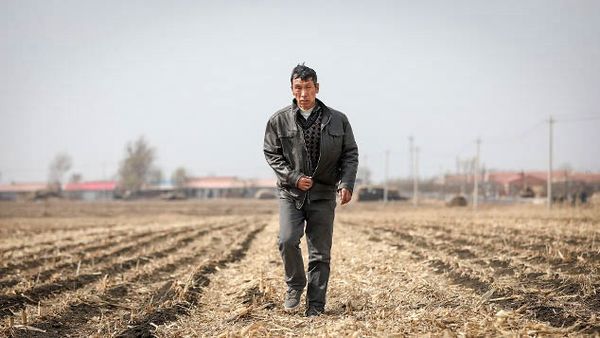 مزارع رهاشده، امنیت غذایی چین را تهدید می‌کند