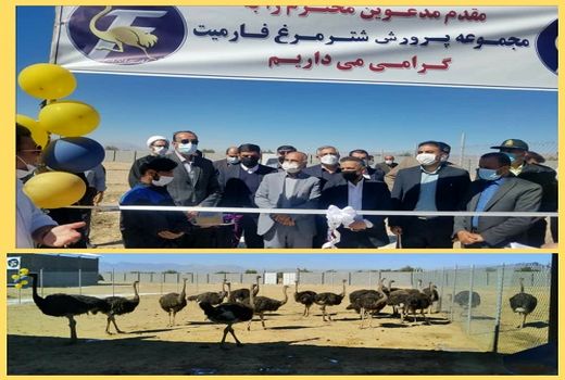 افتتاح اولین طرح صنعتی پرورش شترمرغ در فسا