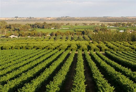 افتتاح ۶۳ پروژه کشاورزی استان تهران به مناسبت هفته دولت