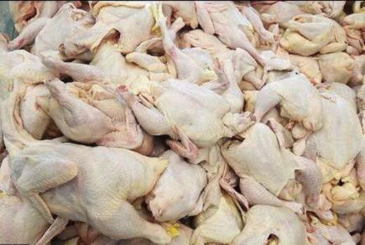 کمبود گوشت مرغ در چهارمحال و بختیاری وجود ندارد