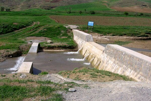 طرح کاداستر در ۳۳۸ هزار هکتار از اراضی ملی کردستان انجام شد