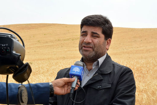 کشاورزان گندم خود را به دلالان نفروشند 