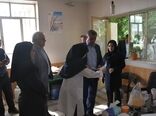 کاهش چشمگیر سن‌زدگی گندم در آذربایجان‌شرقی؛ کیفیت محصول تحویلی به سیلوهای استان ارتقا یافت