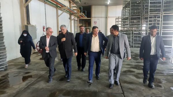 مشکلی در تامین مرغ ایام نوروز نداریم/ توزیع 450 تن میوه شب عید در چهارمحال و بختیاری