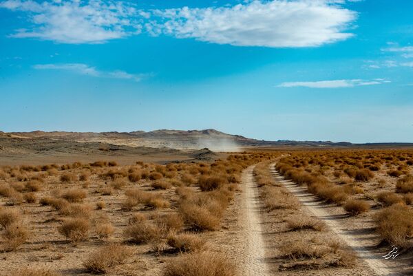 ۱۴ میلیون هکتار بیابان بحرانی؛ از هشدارهای جهانی تا راهکارهای بومی ایران
