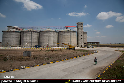 سیلوی گندم در علی‌آباد گرگان 